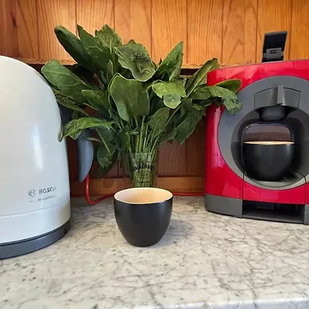 Casablanca Mediterranean *